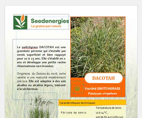 Dacotah seedenergies