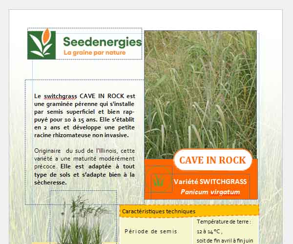 Cave in rock seedenergies