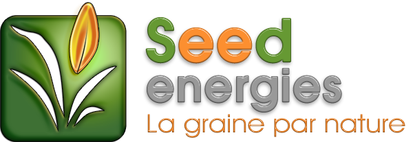 Seedenergies