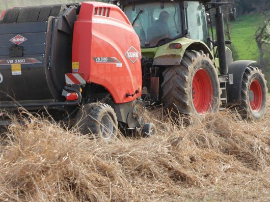Récolte du Switchgrass